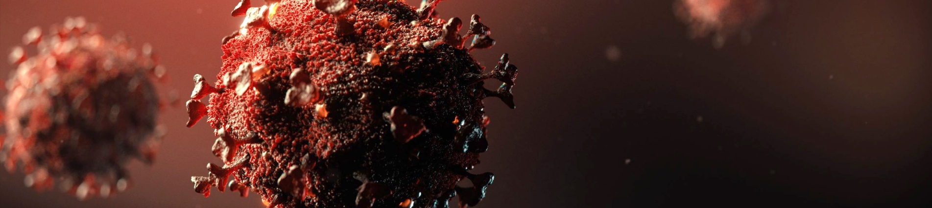 Coronavirus Coronavirus